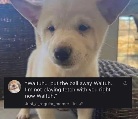 Waltuh Put the Ball Away