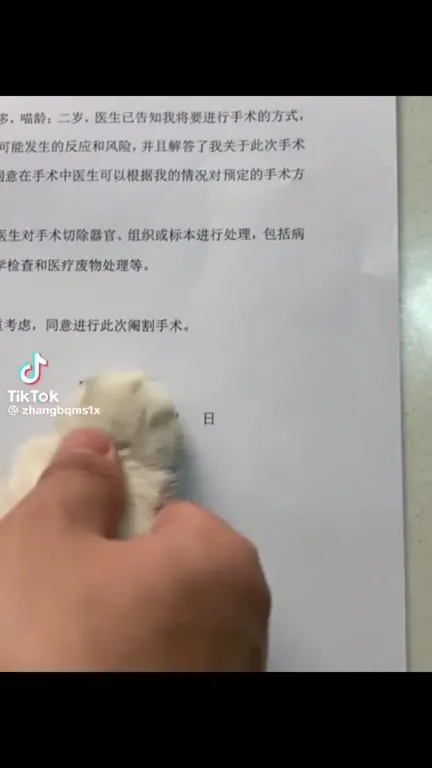 猫咪得知要做手术