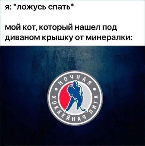 Кот нашёл крышку от минералки