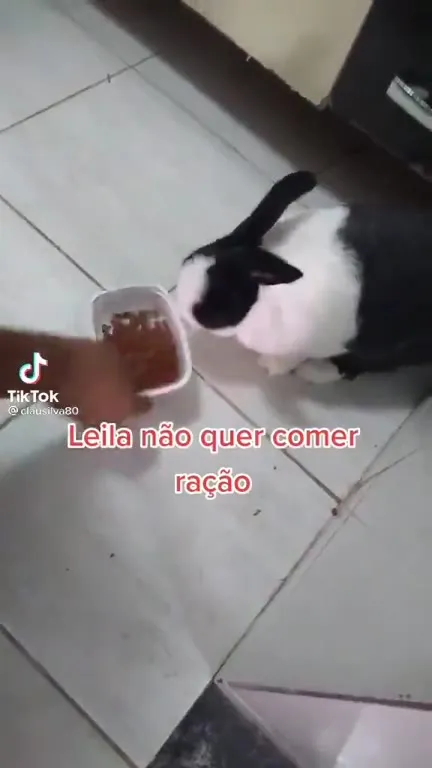 Leila não quer comer ração