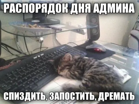 Распорядок дня админа