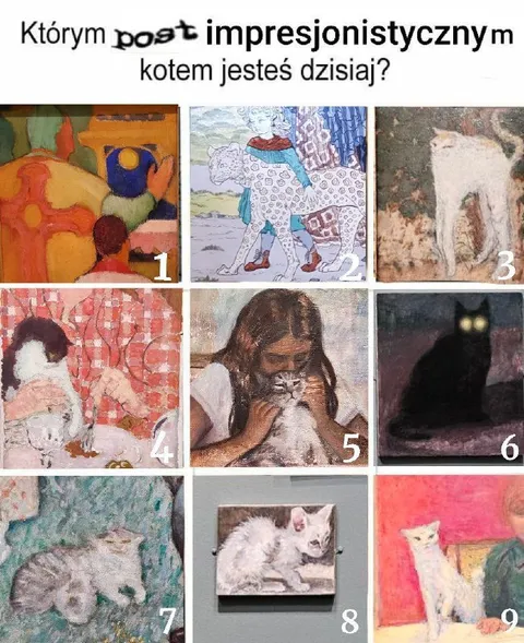 Którym kotem jesteś dzisiaj?