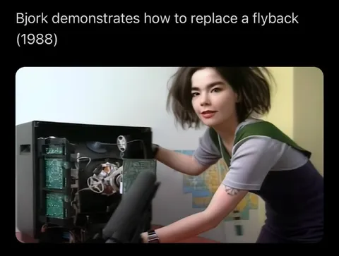 Björk Replaces a Flyback