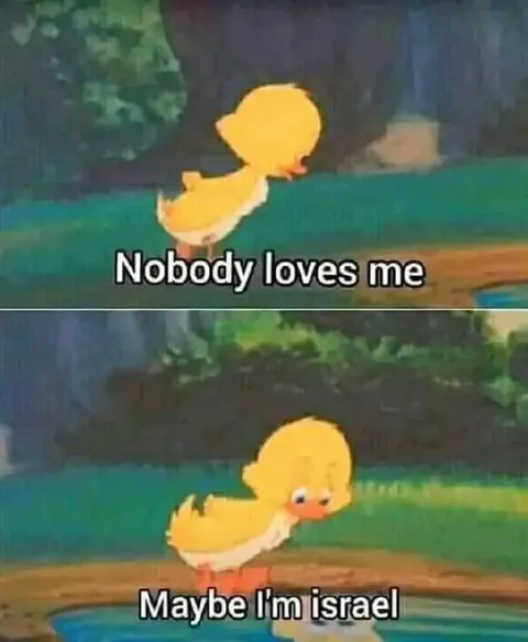Nobody Loves Me Duck