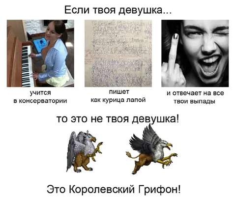Если твоя девушка — королевский грифон