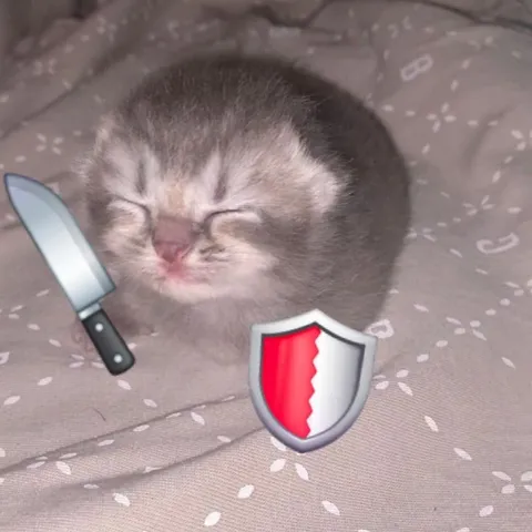 Котёнок с ножом и щитом