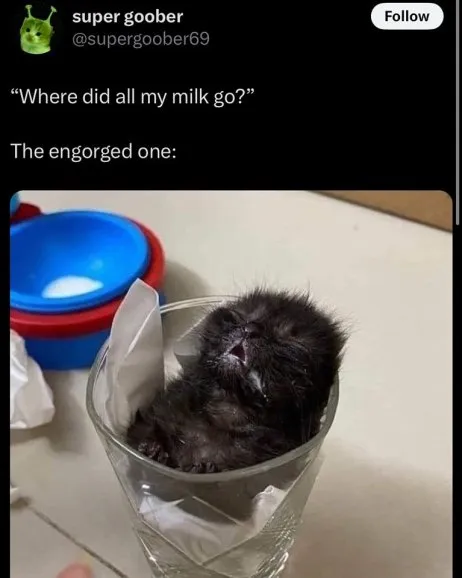 The Engorged One Has All the Milk