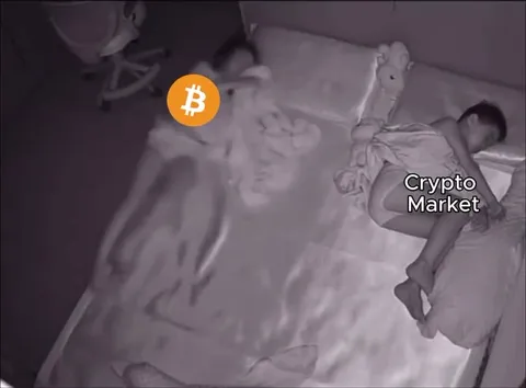 Crypto Market Rollercoaster