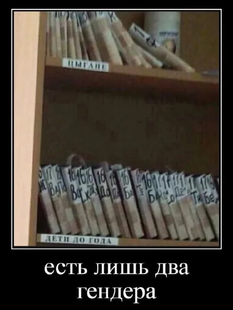 Есть лишь два гендера