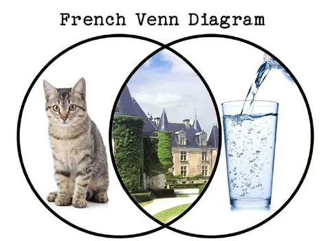 French Venn Diagram Joke