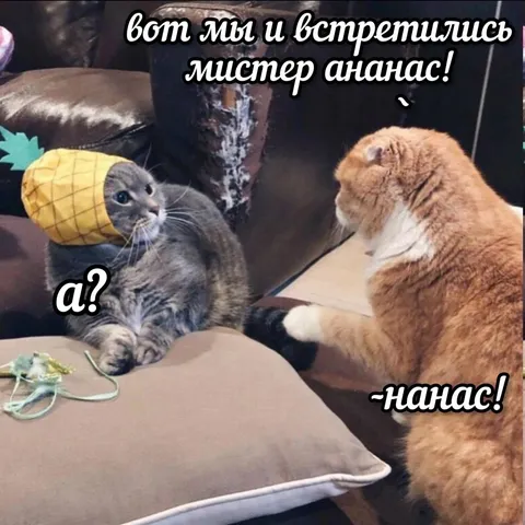 Мистер Ананас и Нанас