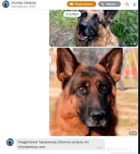 Пиздоглазый таракоед и немецкая овчарка
