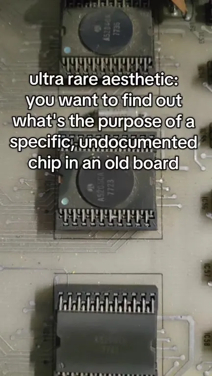 Undocumented Chip Search Results