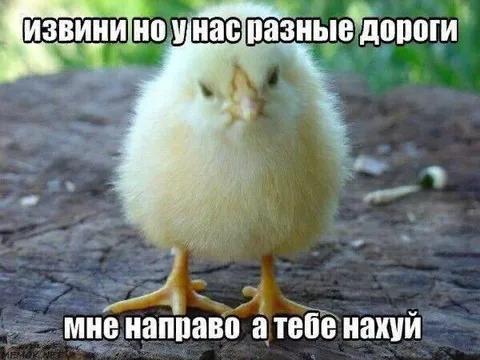 Разные дороги, разные направления