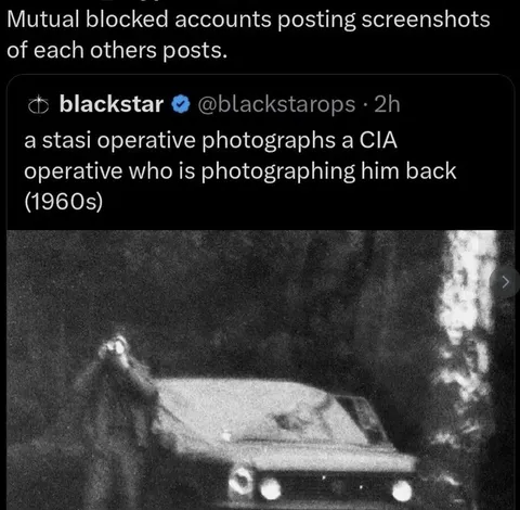 Mutually Blocked Spies Posting Screenshots