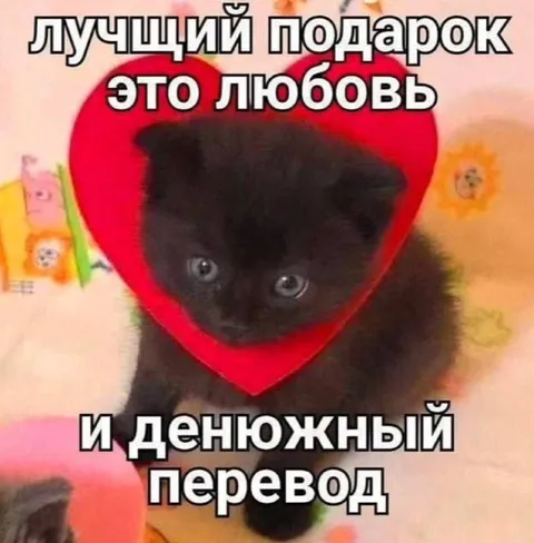 Котёнок в сердечке