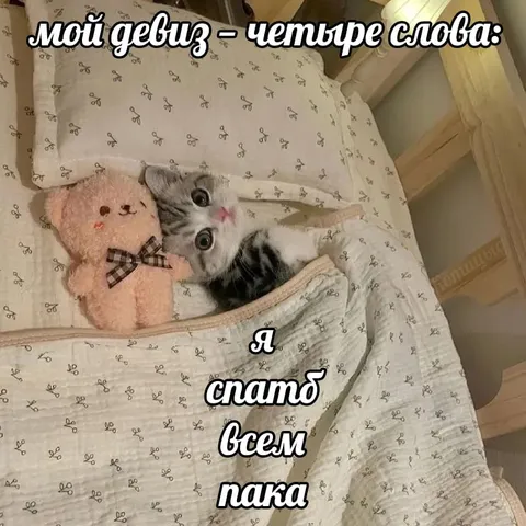 Мой девиз — четыре слова