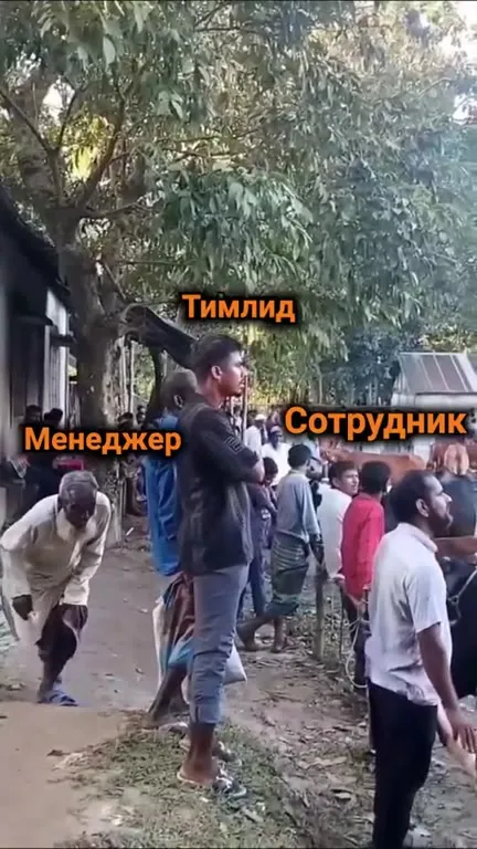 Менеджер, тимлид и сотрудник
