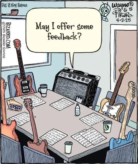 Amplifier Offers Feedback