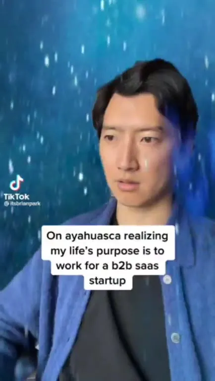 Ayahuasca Reveals SaaS Destiny
