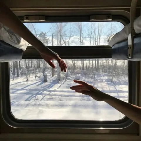 Руки через окно поезда