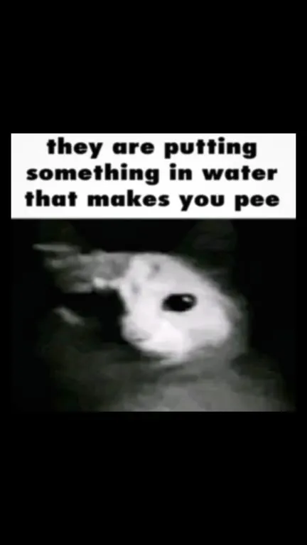 They Put Something in the Water