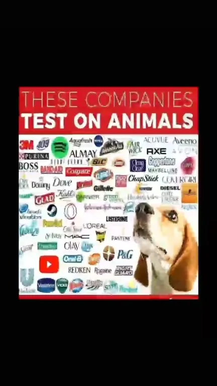 Companies Test on Animals Dog Boom
