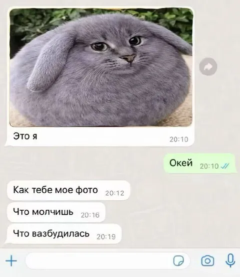 Это я — как тебе моё фото