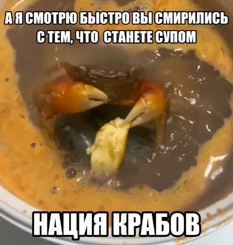 Нация крабов становится супом