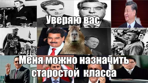 Меня можно назначить старостой класса