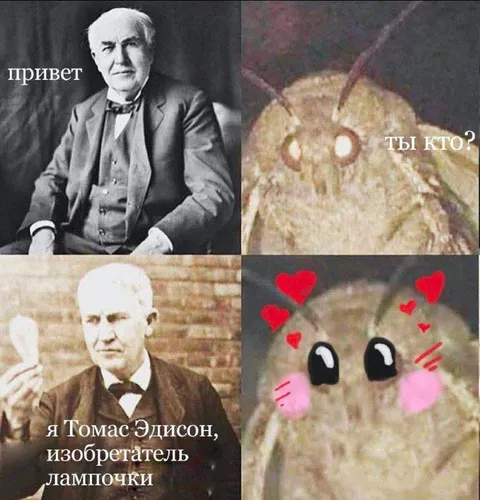 Эдисон знакомится с мотыльком