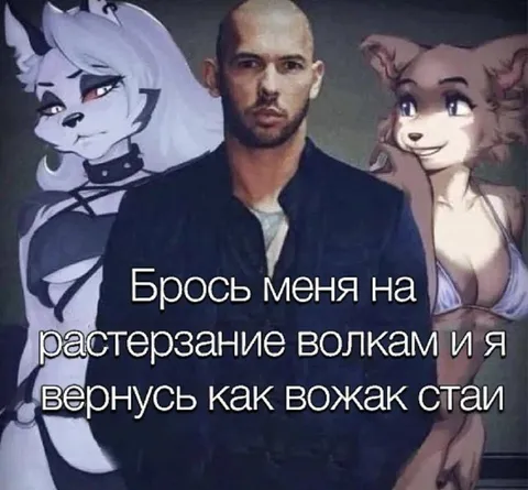 Вернусь как вожак стаи