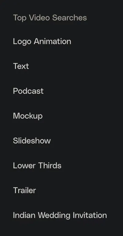 Top Video Searches List