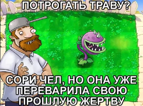 Газонная трава уже переварена