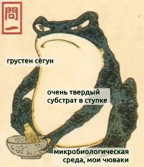 Грустный сёгун в лаборатории