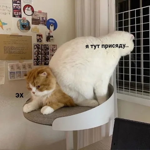 Я тут присяду