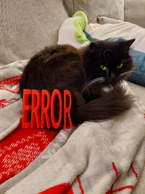 Кот с ошибкой
