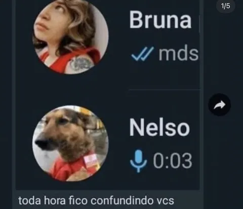 Confundindo Bruna e Nelso