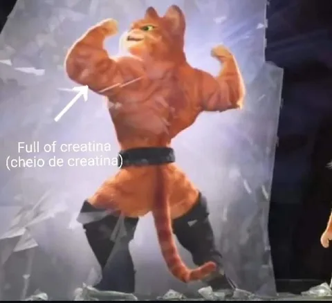 Creatine-Filled Muscle Cat