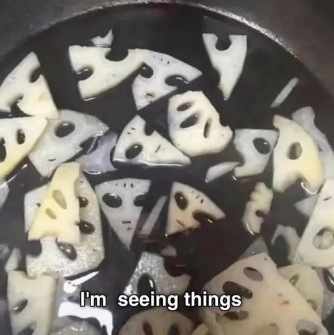 Cheese Pieces Seeing Things