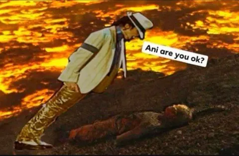 Ani are you ok?