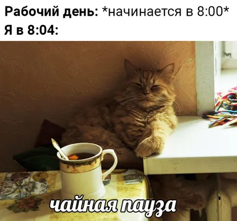 Чайная пауза в начале рабочего дня