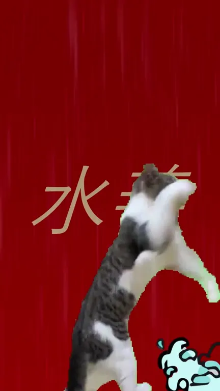 Cats Bend the Elements