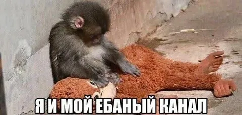 Я и мой ебаный канал