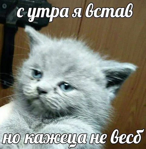 Утром встал, но не везде