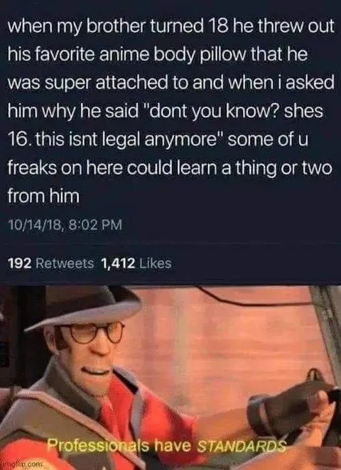 Professionals Have Standards