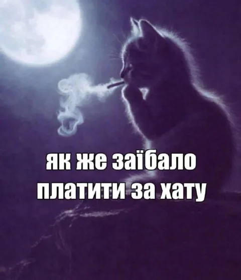 Кіт втомився платити за хату