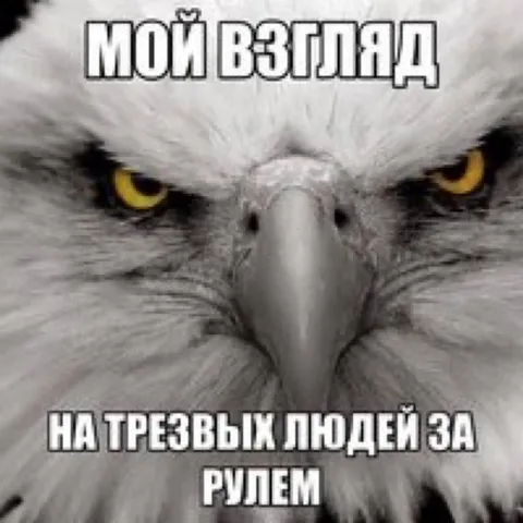 Мой взгляд на трезвых людей за рулем
