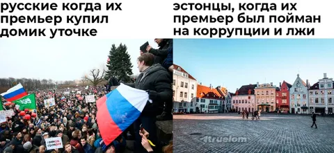 Русские и эстонцы: разные реакции
