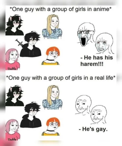 Anime Harem Versus Real Life